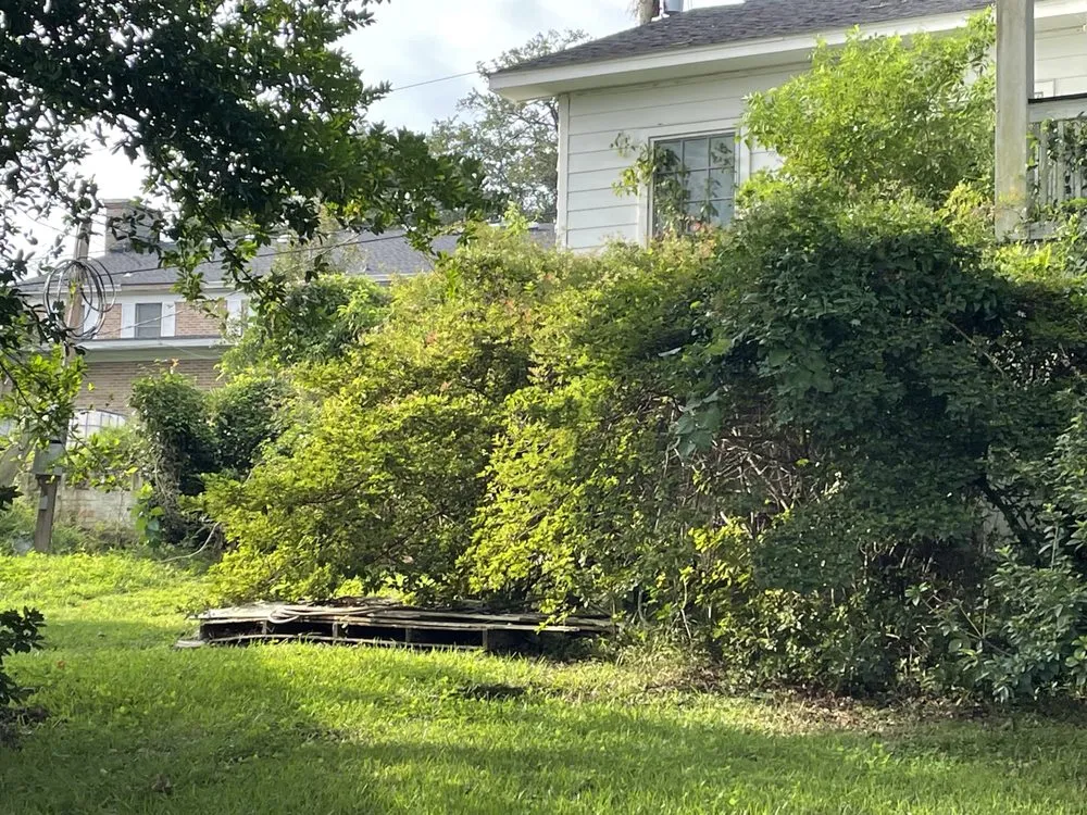 Trusted yard maintenance in Mobile, AL by Nolan Lawn Care & Landscaping