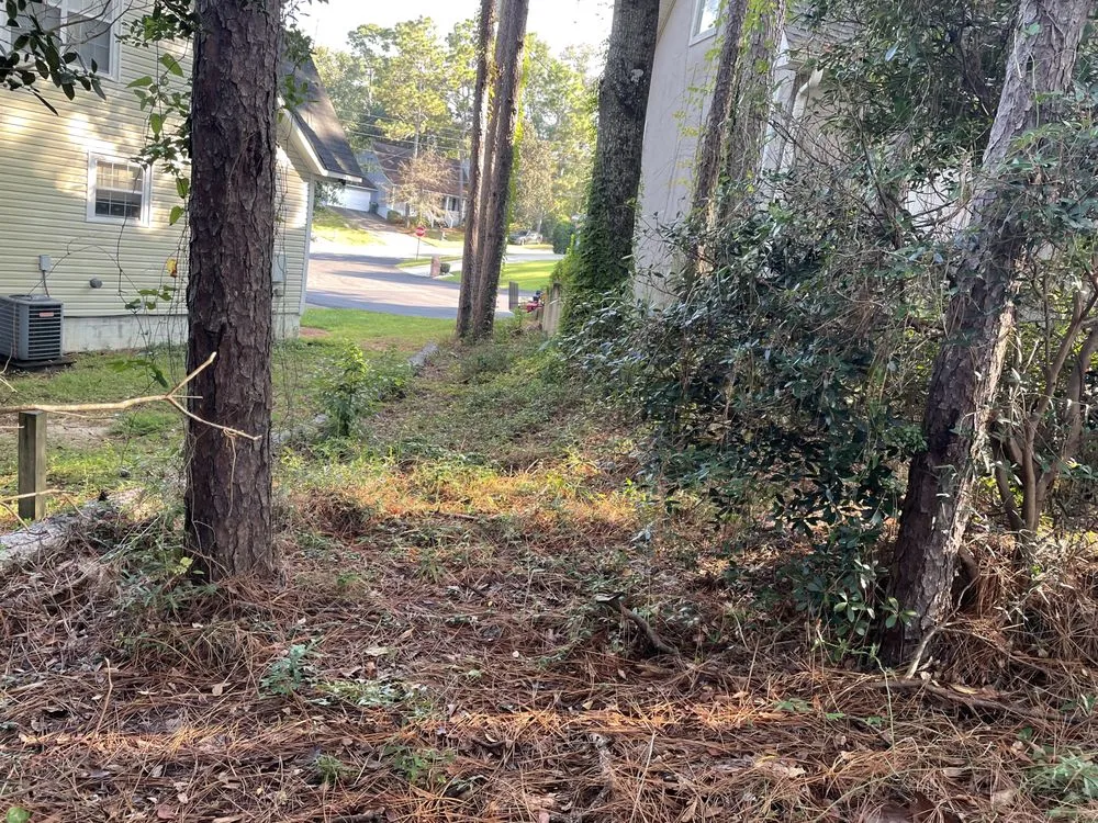 Professional outdoor landscaping for beautiful yards across Mobile, AL - Nolan Lawn Care & Landscaping