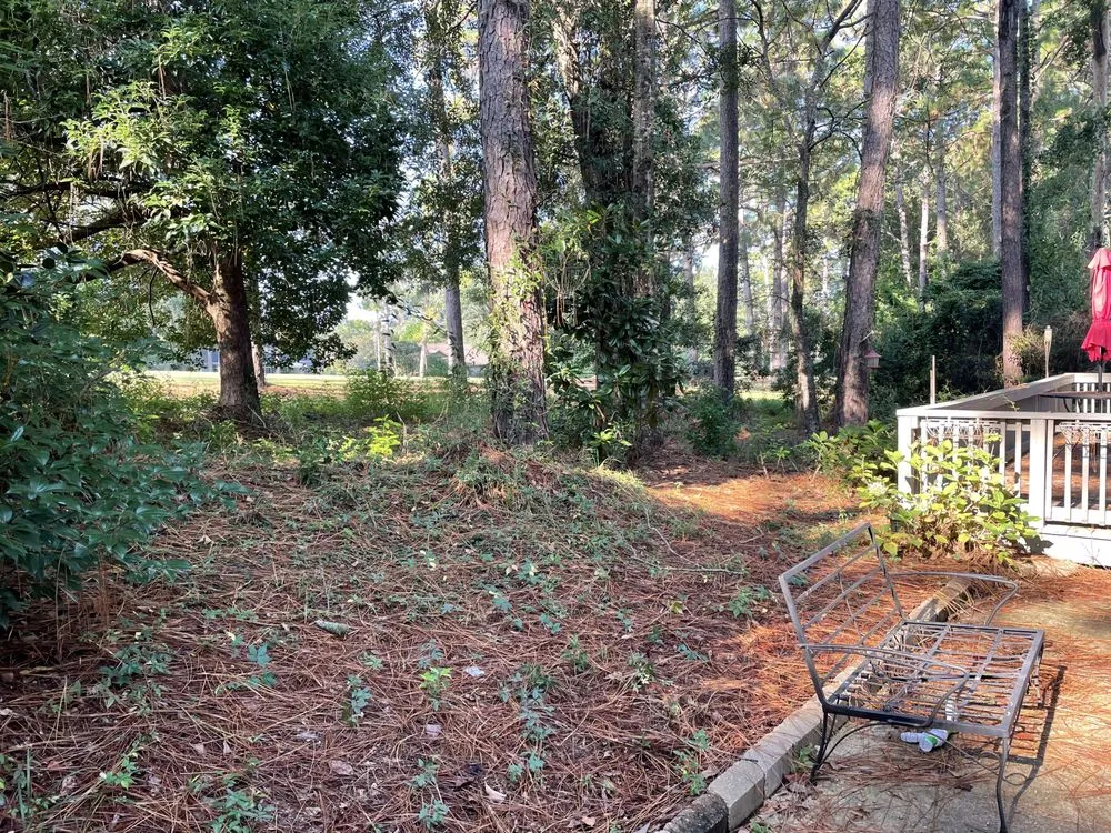 Local landscape design in Mobile, AL - Nolan Lawn Care & Landscaping