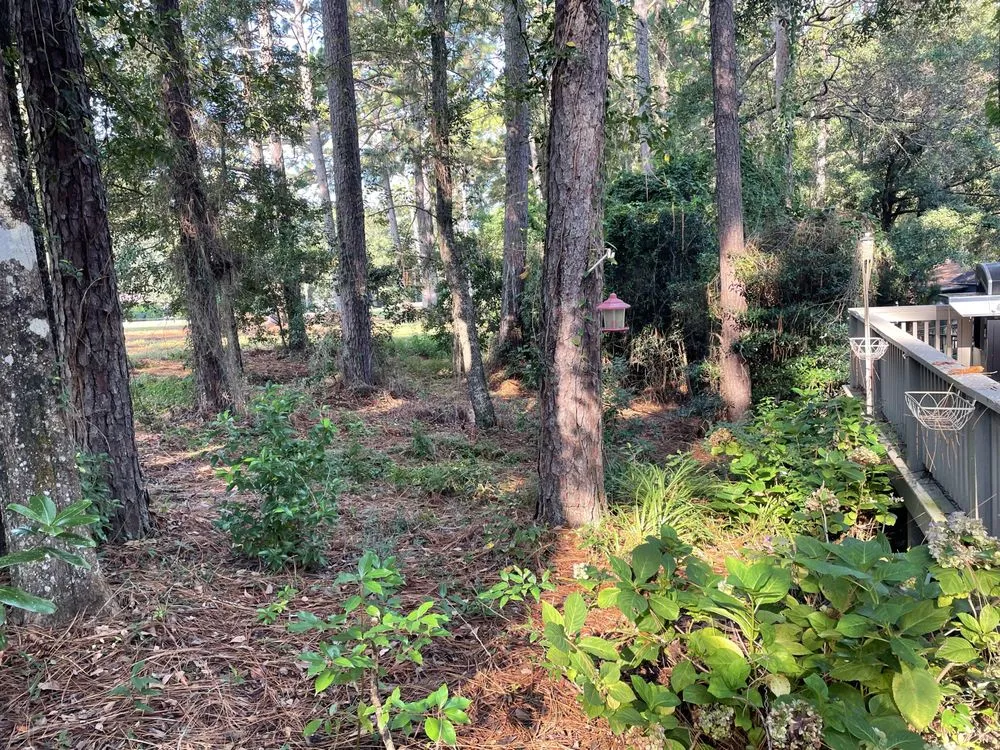 Trusted residential landscaping in Mobile, AL - Nolan Lawn Care & Landscaping