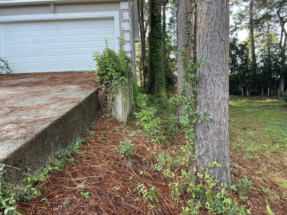 Top-rated landscape installation experts serving Mobile, AL - Nolan Lawn Care & Landscaping