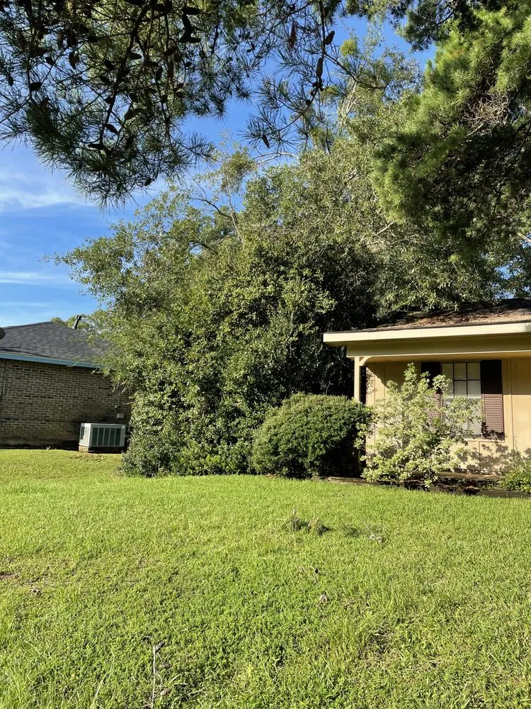 Expert landscape installation in Mobile, AL - Nolan Lawn Care & Landscaping