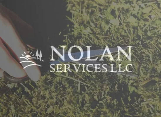 Nolan Services Logo