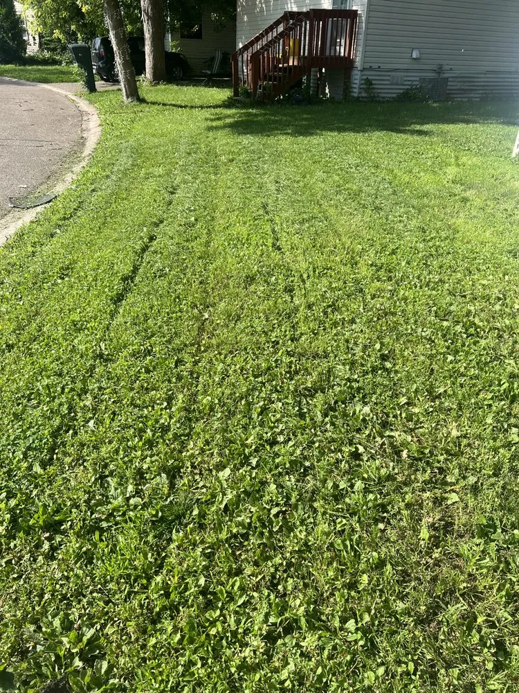 Trusted residential landscaping in Jordan, MN - Nolan’s Crafting Outdoor Experiences