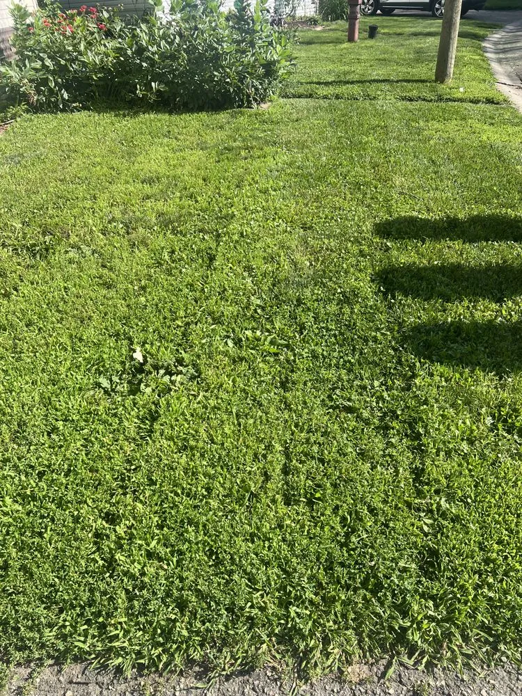 Affordable outdoor landscaping with custom design in Jordan, MN by Nolan’s Crafting Outdoor Experiences