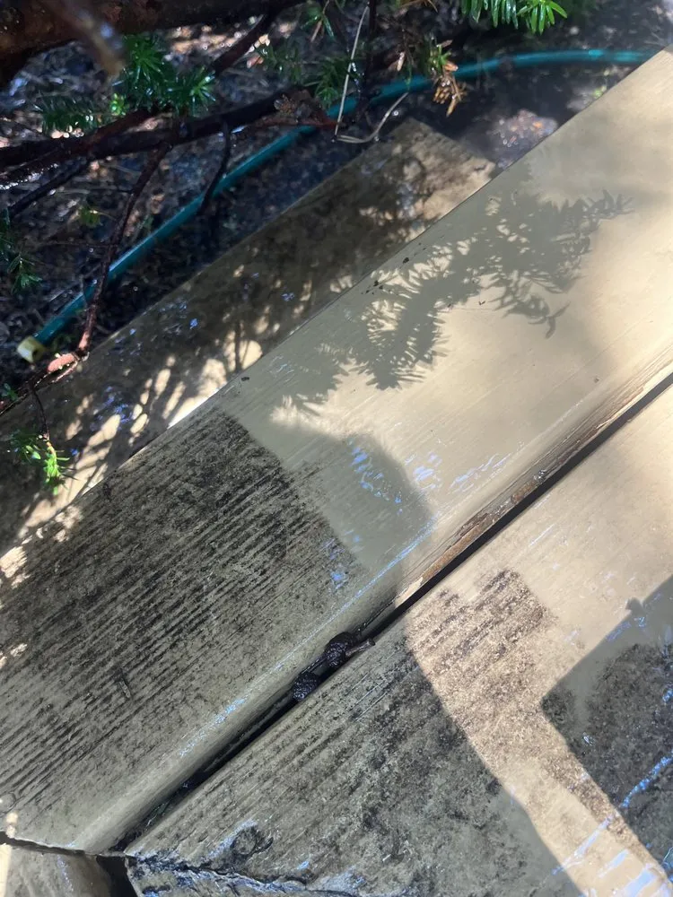 Local outdoor landscaping in Lacey Township, NJ - Nolan’s Landscaping And Power Washing