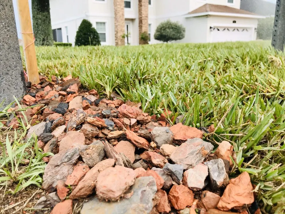 Expert lawn care service experts serving Clermont, FL - Nolan's Lawn Care & Landscape