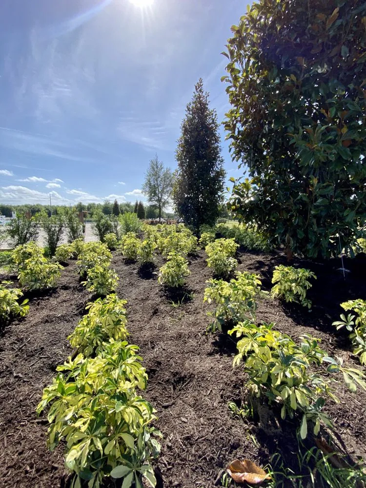 Trusted residential landscaping near you in Clermont, FL by Nolan's Lawn Care & Landscape