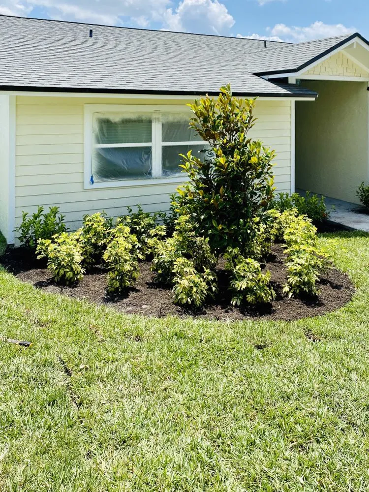 Reliable yard cleanup service experts serving Clermont, FL - Nolan's Lawn Care & Landscape