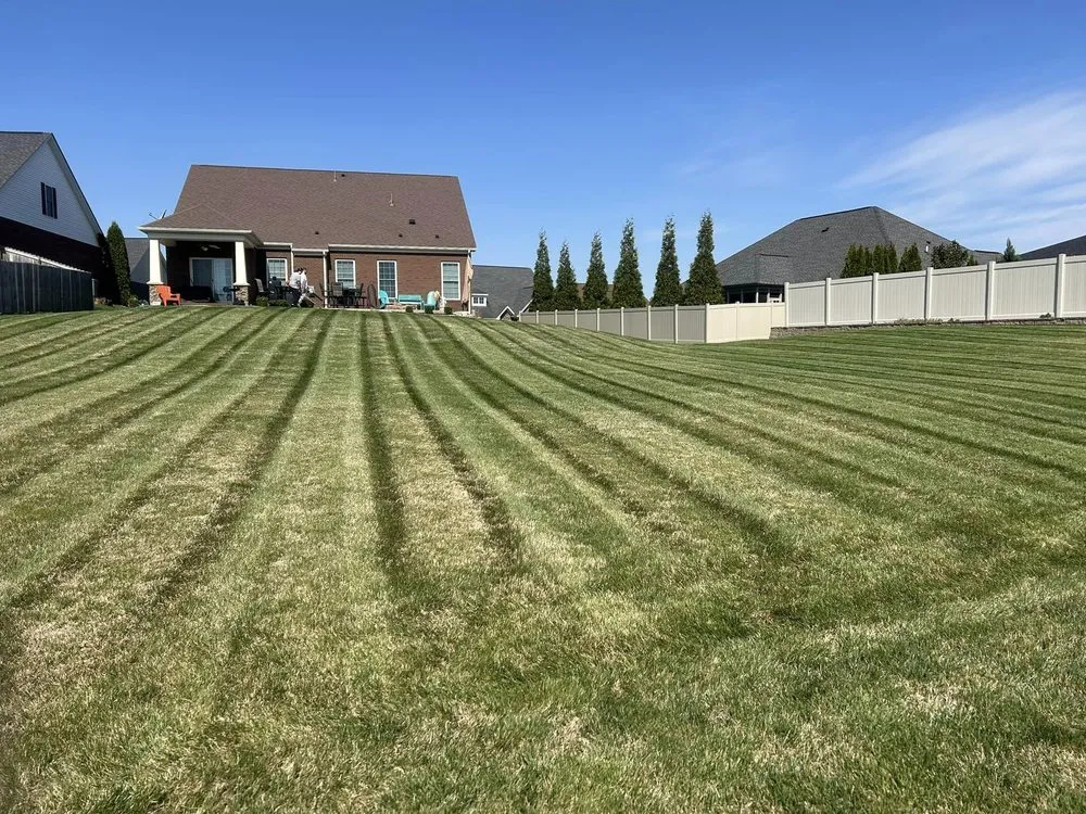 Expert yard cleanup service near you in Owensboro, KY by Nolan's Lawn Care