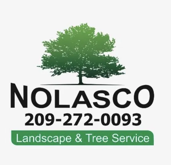 Expert landscape design in Winton, CA by Nolasco Landscaping & Tree Services