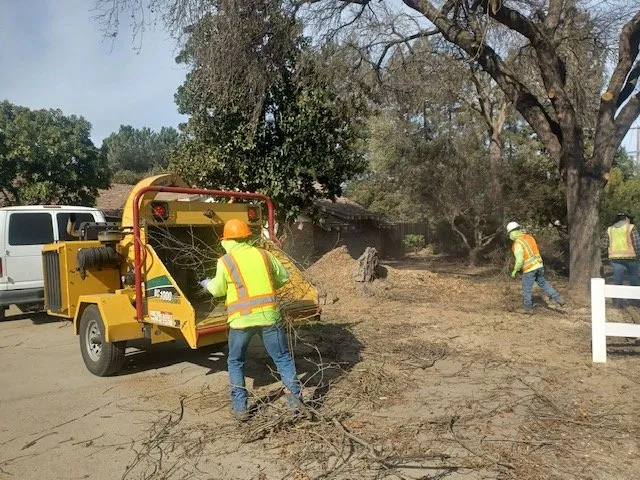 Top-rated garden landscaping in Winton, CA by Nolasco Landscaping & Tree Services