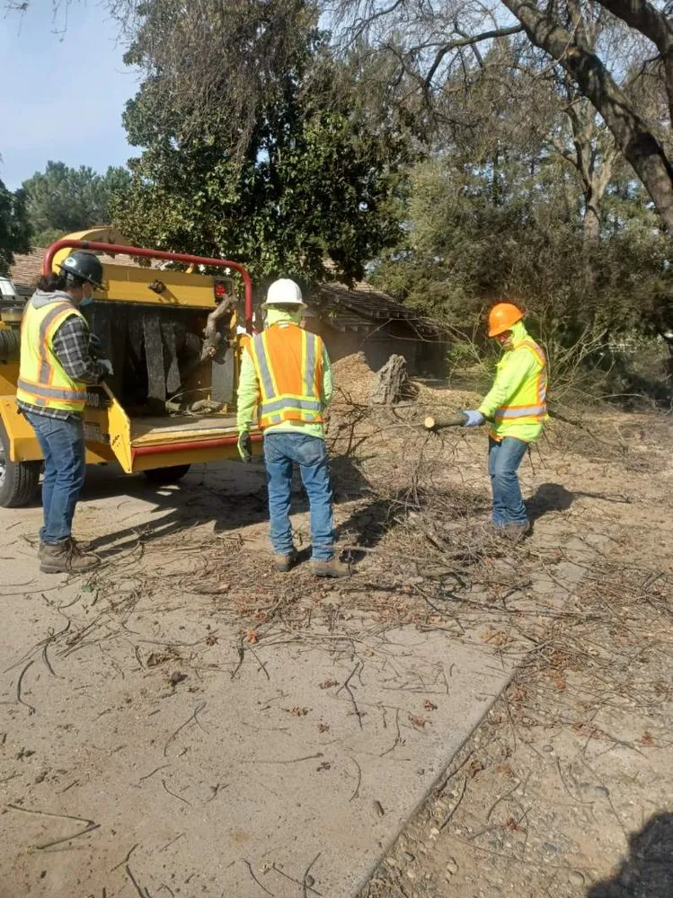 Affordable landscaping services for homes in Winton, CA by Nolasco Landscaping & Tree Services
