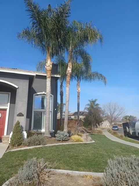 Local yard cleanup service with custom design in Winton, CA by Nolasco Landscaping & Tree Services