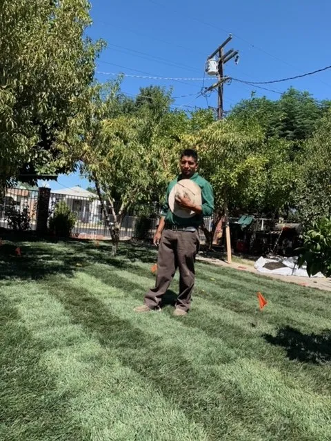 Affordable garden landscaping in Winton, CA by Nolasco Landscaping & Tree Services