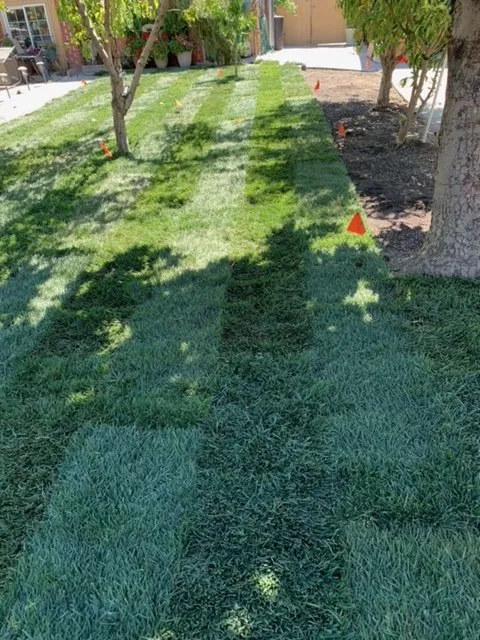 Expert lawn mowing service for homes across Winton, CA - Nolasco Landscaping & Tree Services