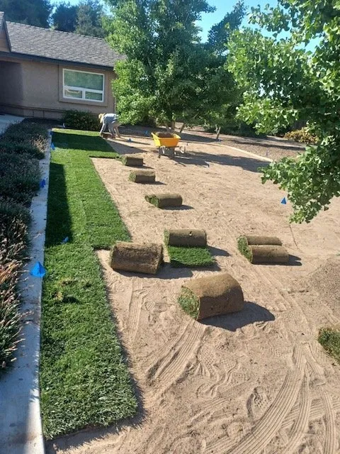 Local residential landscaping experts serving Winton, CA - Nolasco Landscaping & Tree Services