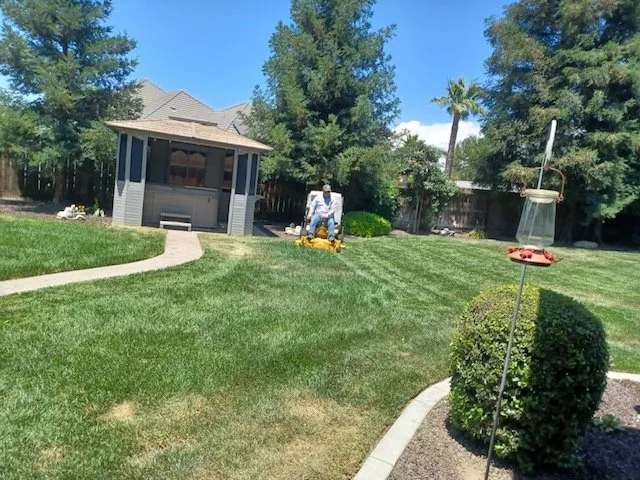 Expert landscaping services in Winton, CA by Nolasco Landscaping & Tree Services