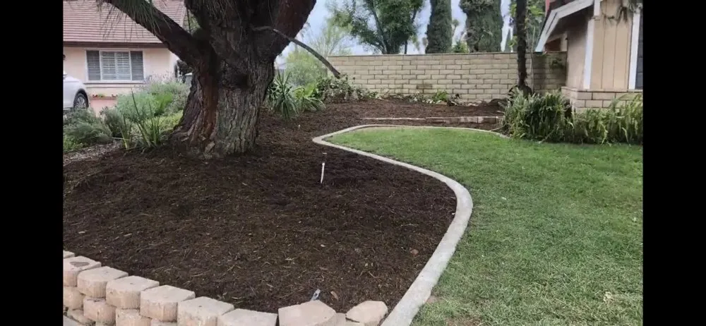 Expert outdoor landscaping for beautiful yards in Riverside, CA by Nolasco Landscaping