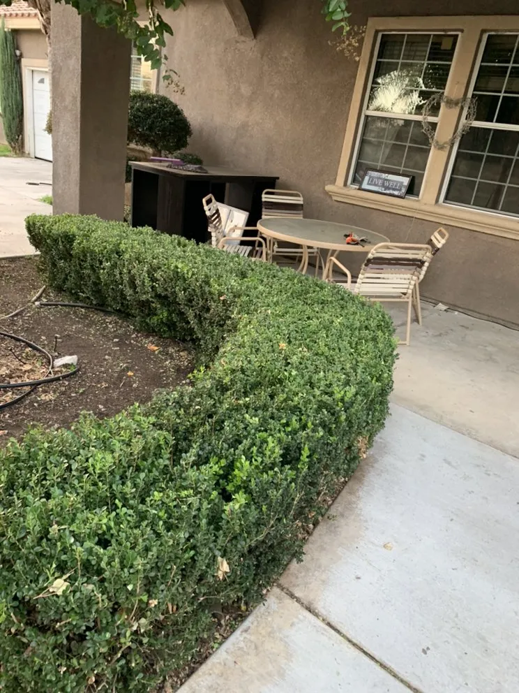 Affordable lawn mowing service for beautiful yards in Riverside, CA by Nolasco Landscaping