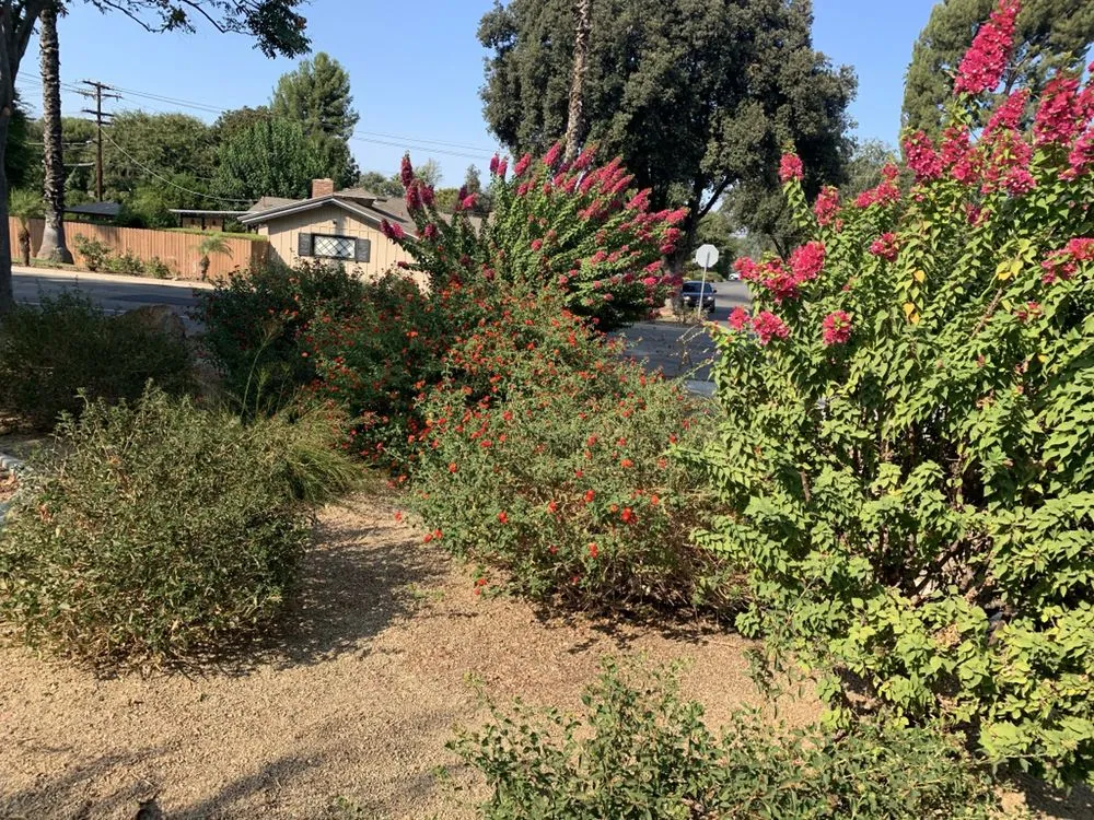 Reliable yard cleanup service with custom design in Riverside, CA by Nolasco Landscaping