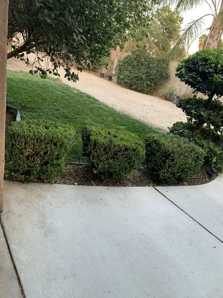 Trusted landscape design in Riverside, CA - Nolasco Landscaping