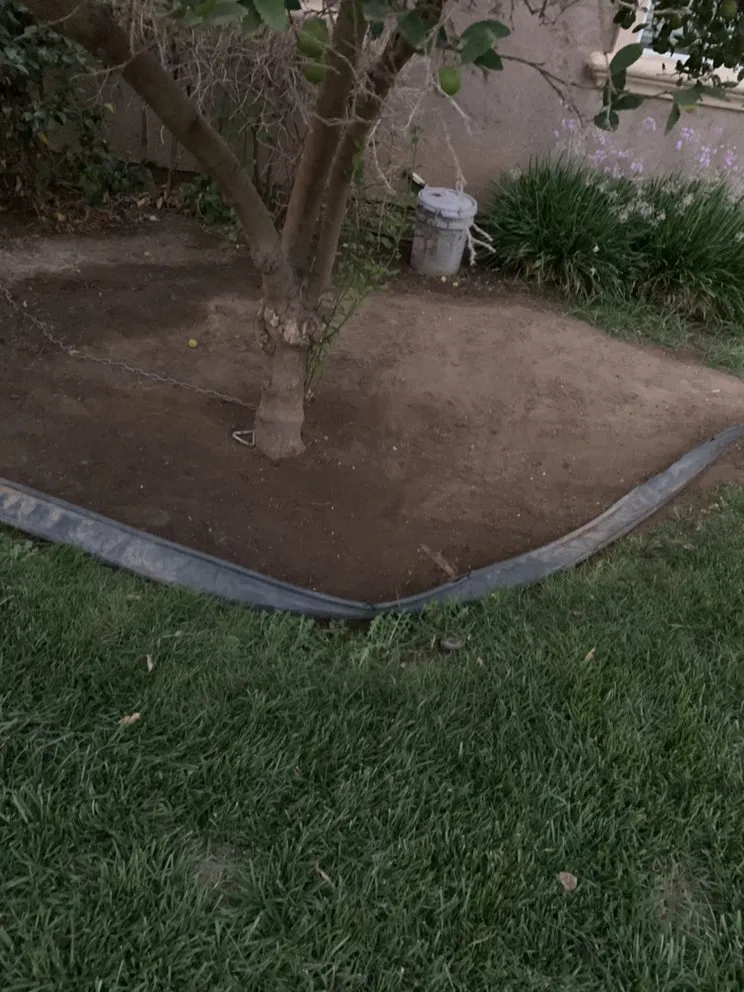 Custom landscaping services in Riverside, CA - Nolasco Landscaping
