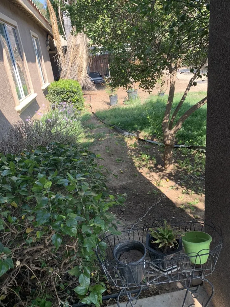 Top-rated garden landscaping in Riverside, CA by Nolasco Landscaping