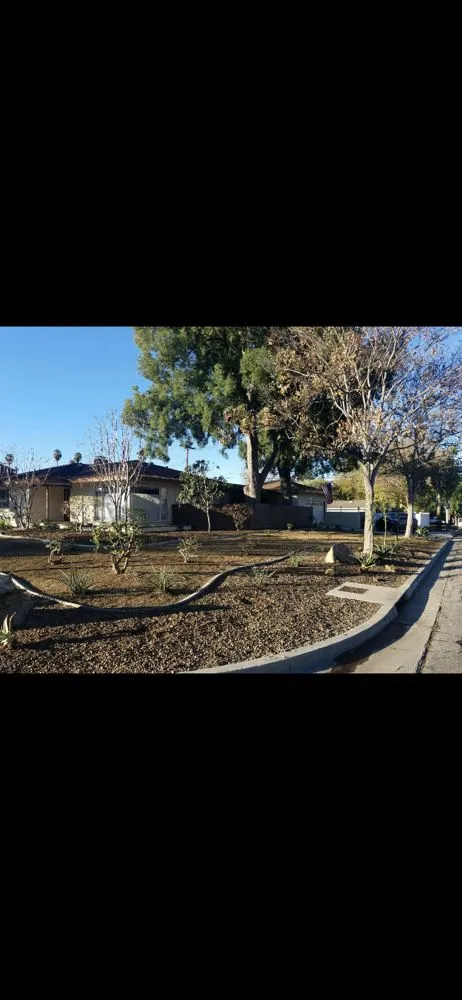 Reliable lawn care service in Riverside, CA - Nolasco Landscaping