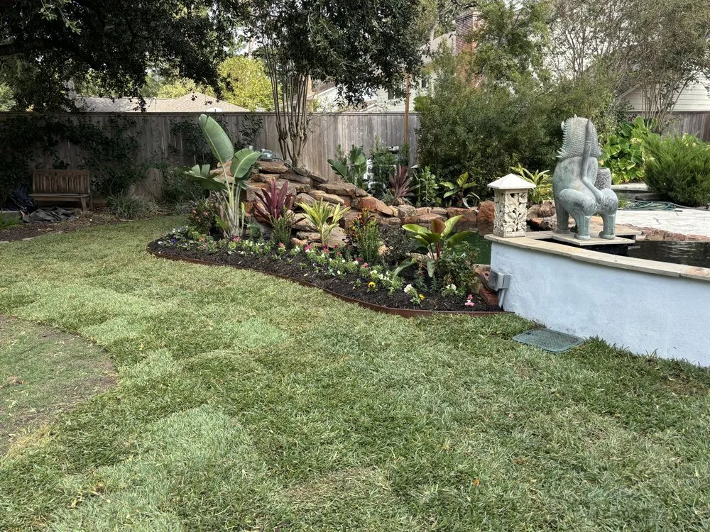 Expert landscape installation for year-round maintenance across Pearland, TX - Nolasco Lansdcaping