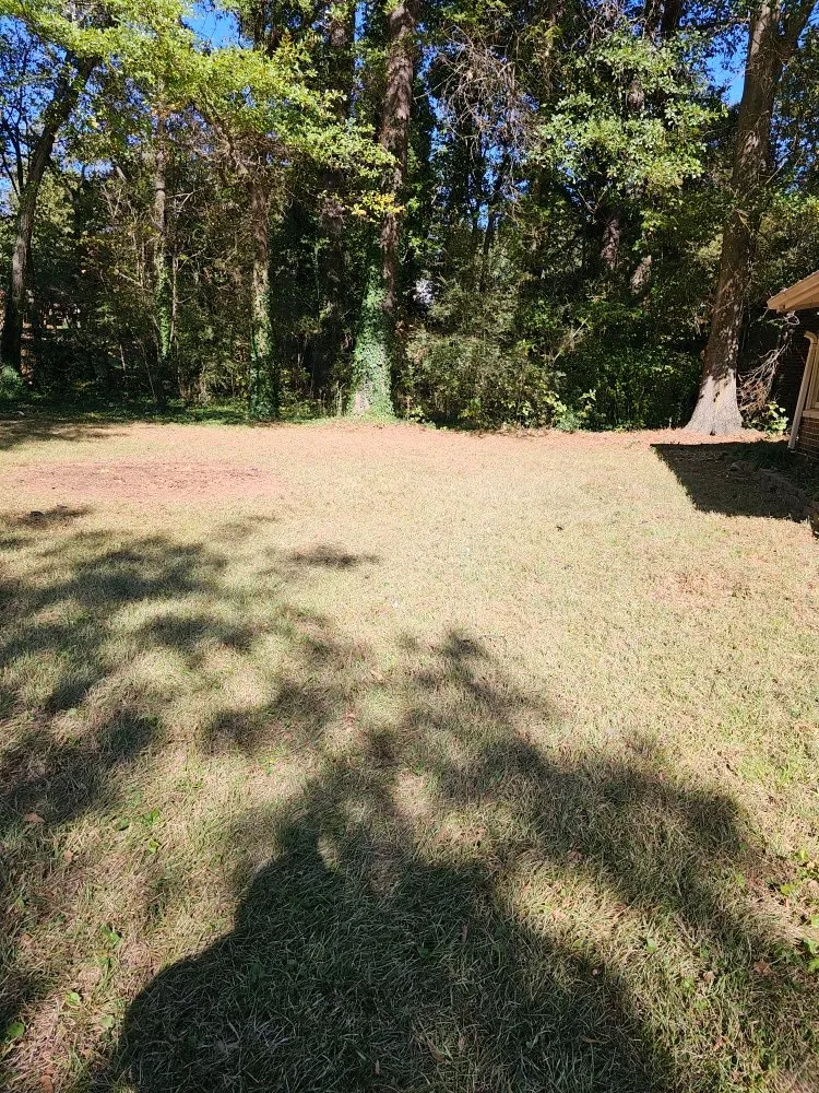 Affordable lawn mowing service experts serving Snellville, GA - Nolasco Lawn Care