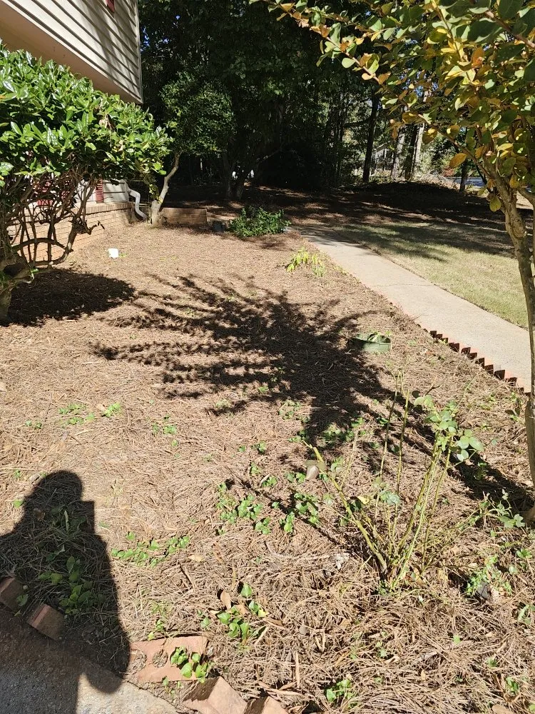 Professional landscape installation in Snellville, GA by Nolasco Lawn Care