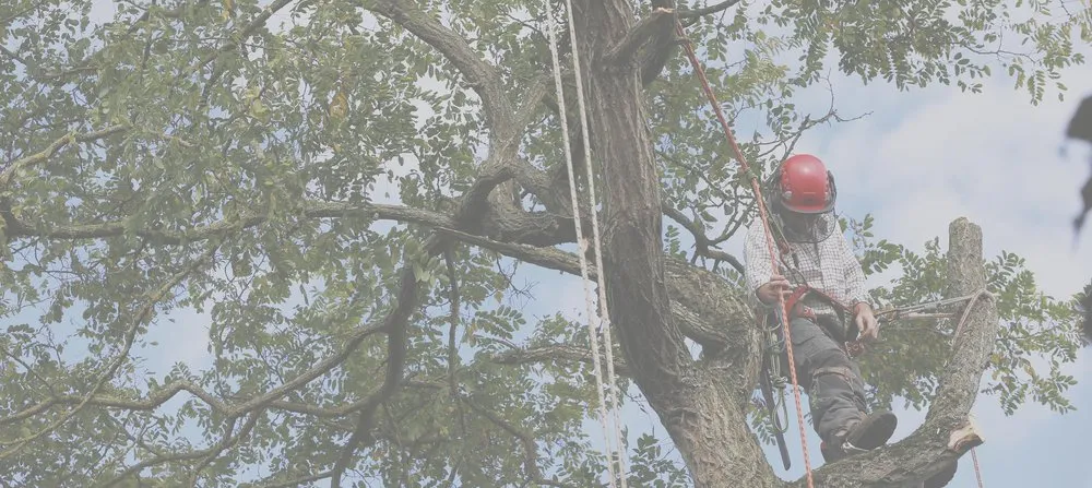 Professional residential landscaping for outdoor upgrades across Lynn, MA - Nolasco Masonry and Landscaping Service