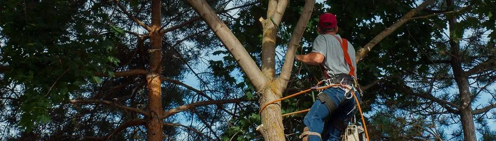 Affordable landscape design experts serving Lynn, MA - Nolasco Masonry and Landscaping Service