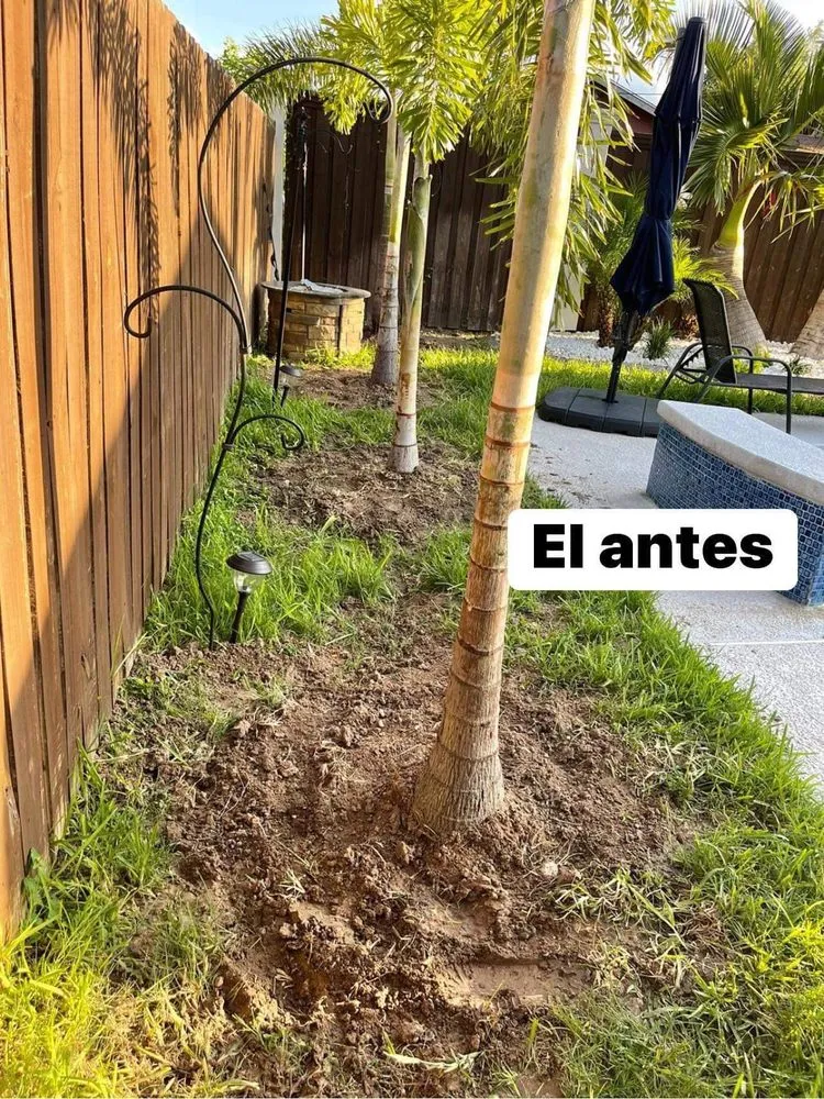 Top-rated yard maintenance for homes across Mission, TX - Nolasco’s Lawn Maintenances