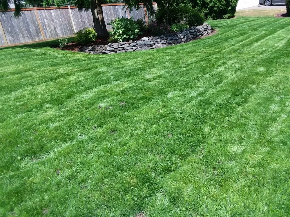 Trusted lawn mowing service in Shelton, WA - Nolberto’s Landscaping