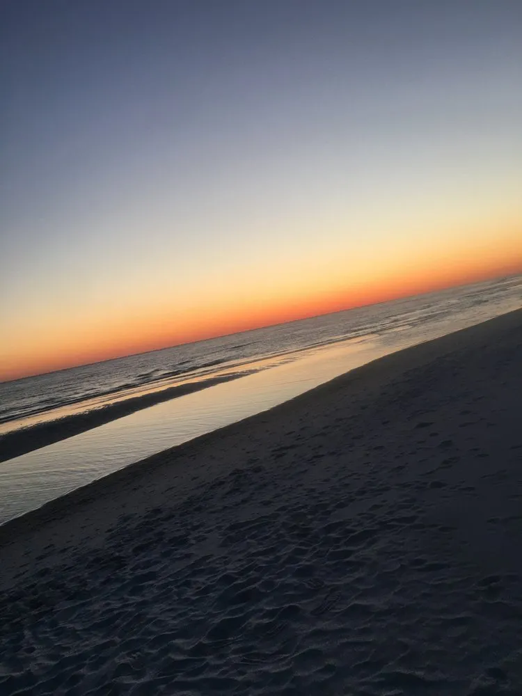 Reliable yard cleanup service with custom design across Gainesville, FL - Nolia’s Landscaping & Small Residential Tree Service