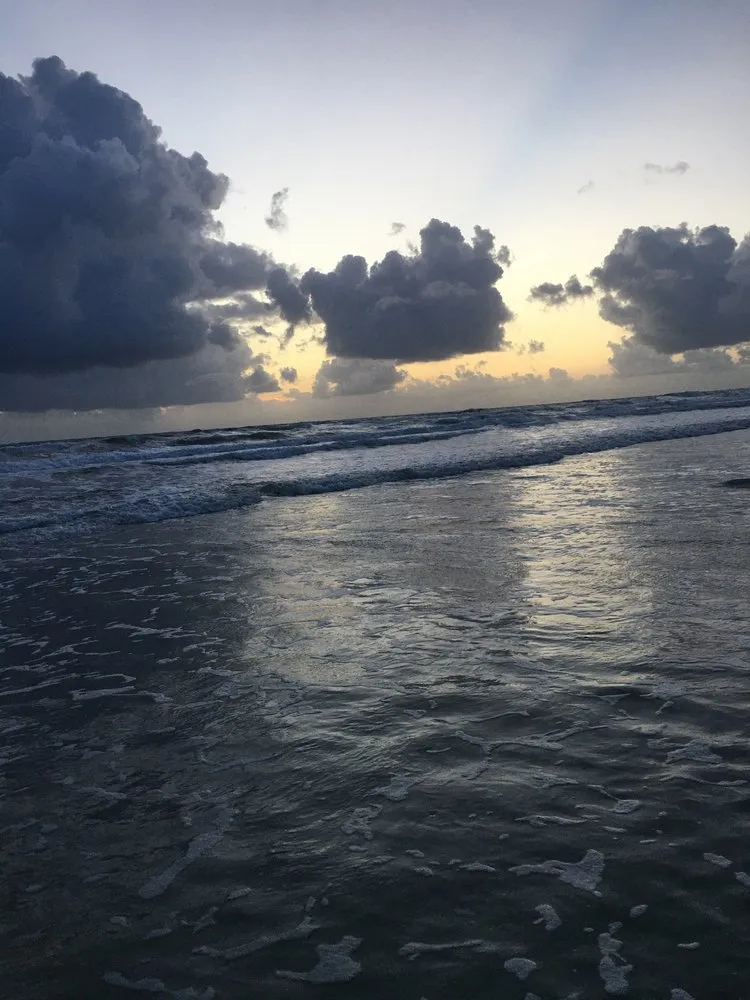 Professional landscape installation for year-round maintenance across Gainesville, FL - Nolia’s Landscaping & Small Residential Tree Service