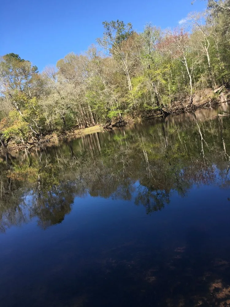 Top-rated lawn care service for outdoor upgrades across Gainesville, FL - Nolia’s Landscaping & Small Residential Tree Service