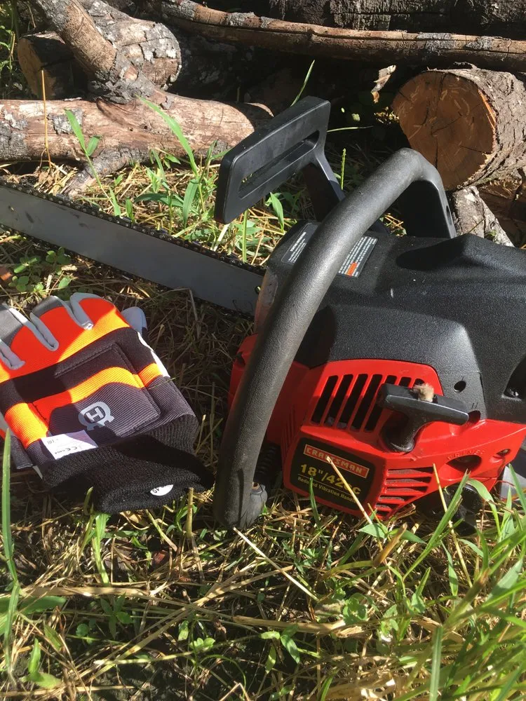 Professional landscape design in Gainesville, FL - Nolia’s Landscaping & Small Residential Tree Service