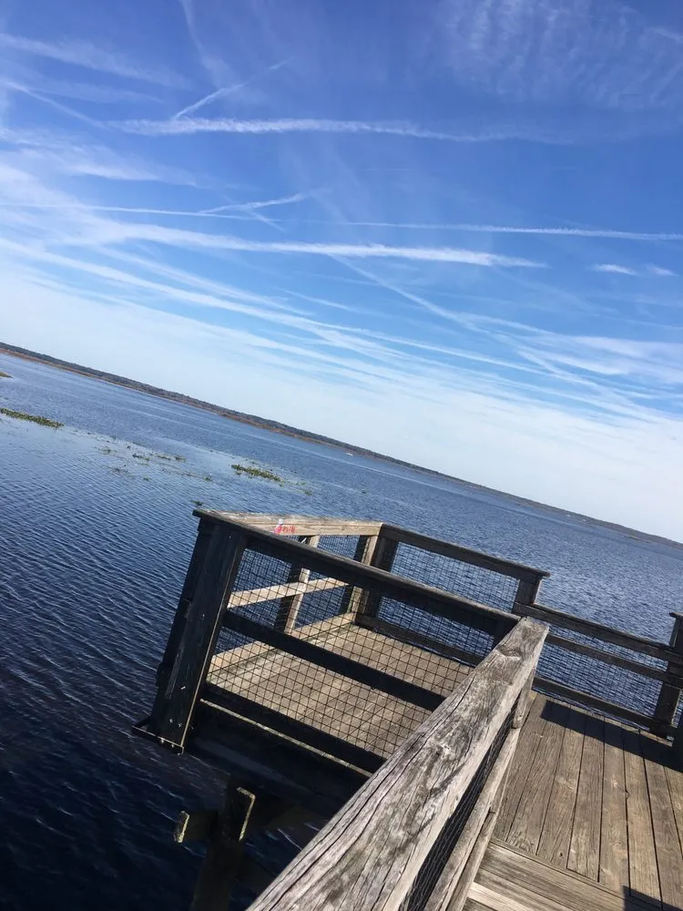 Local residential landscaping for outdoor upgrades in Gainesville, FL by Nolia’s Landscaping & Small Residential Tree Service