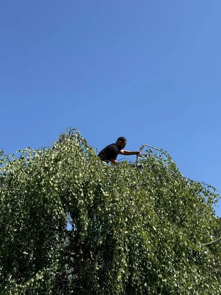 Top-rated outdoor landscaping in Ashland, NH by Nolin Lawn Care Contractor