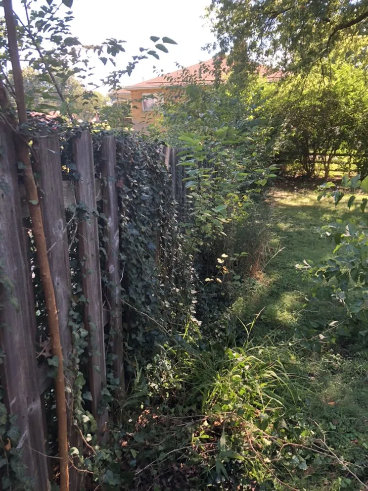 Local lawn mowing service for year-round maintenance across Cincinnati, OH - Nolo Lawn Care & Landscaping