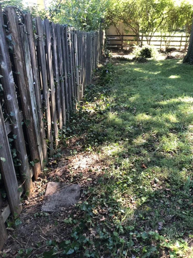 Top-rated residential landscaping in Cincinnati, OH by Nolo Lawn Care & Landscaping