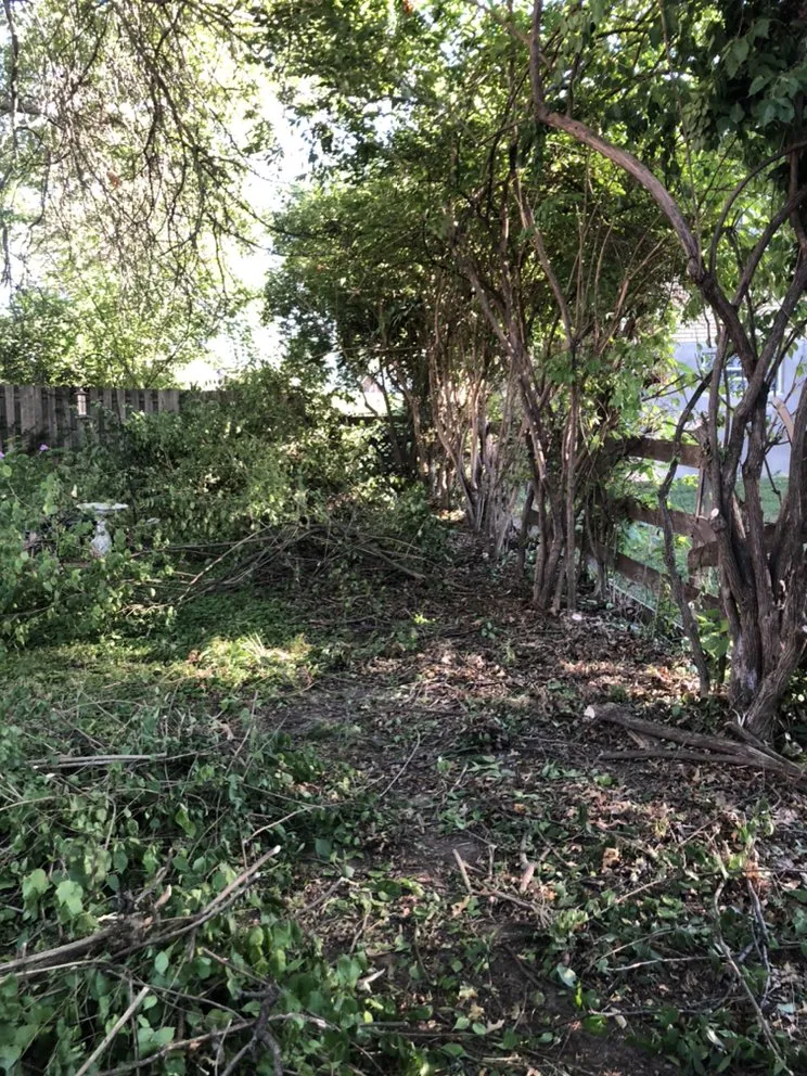 Reliable landscape installation experts serving Cincinnati, OH - Nolo Lawn Care & Landscaping