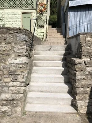 Nolo Lawn Care & Landscaping Logo