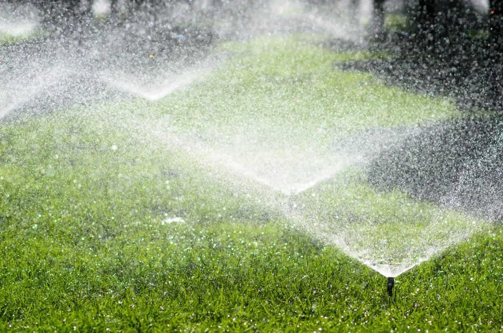 Affordable residential landscaping experts serving Ankeny, IA - Nolte and Sons Lawn and Irrigation