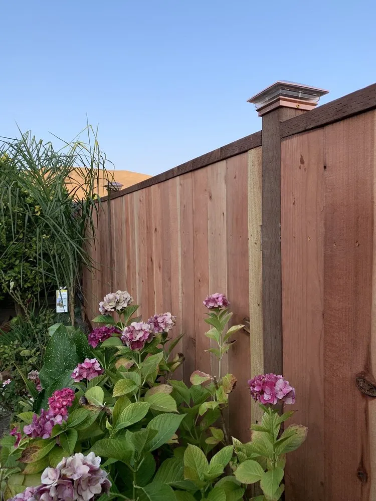 Affordable outdoor landscaping in Hercules, CA - Noma Land Designs