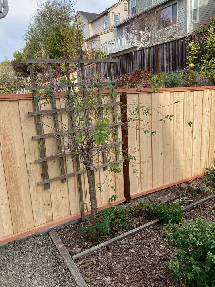 Trusted landscaping services experts serving Hercules, CA - Noma Land Designs