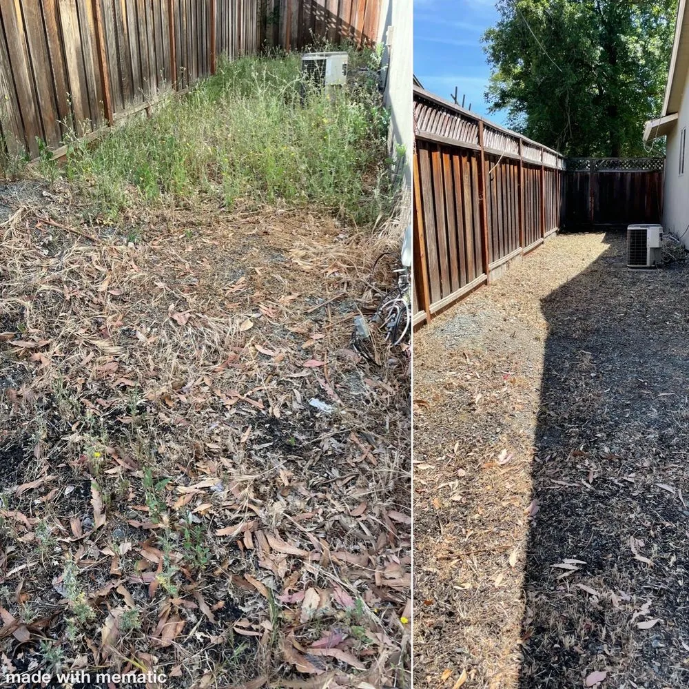 Top-rated landscaping services in Hercules, CA by Noma Land Designs